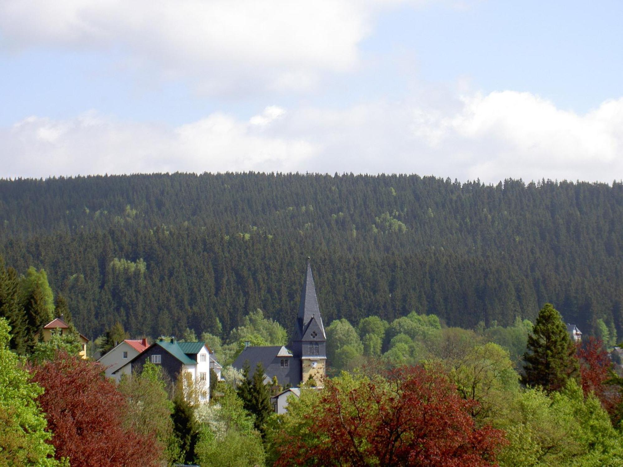 Gasthof 'Zum Reifberg' Ilmenau Exterior foto